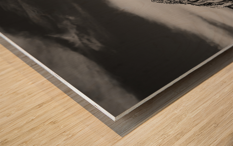 B&W Landscape Wood print