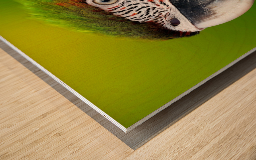 7F95D3C0 81A8 4645 9E33 E8E0E041A368 Wood print