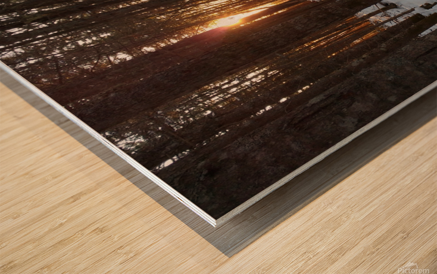 Lumiere de la foret Wood print