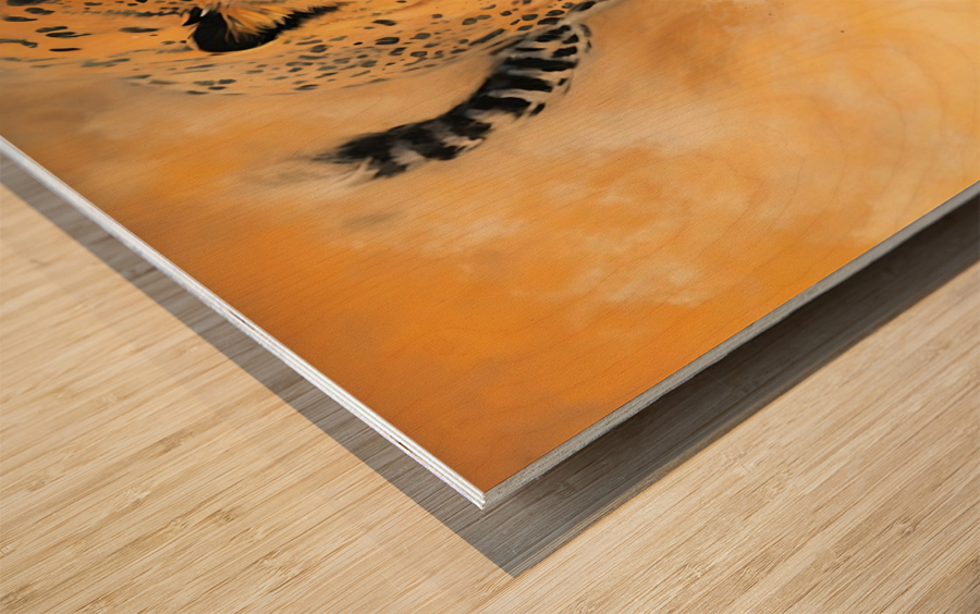 Wild no.48 Wood print