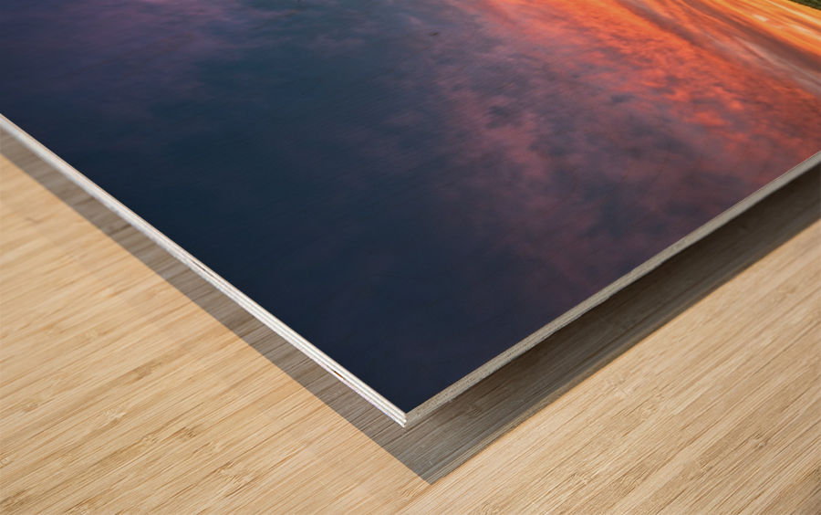 Lonely Tree at Sunset Wood print