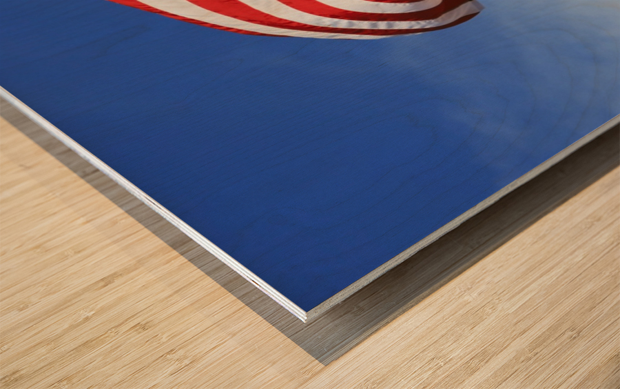 The American Flag Wood print