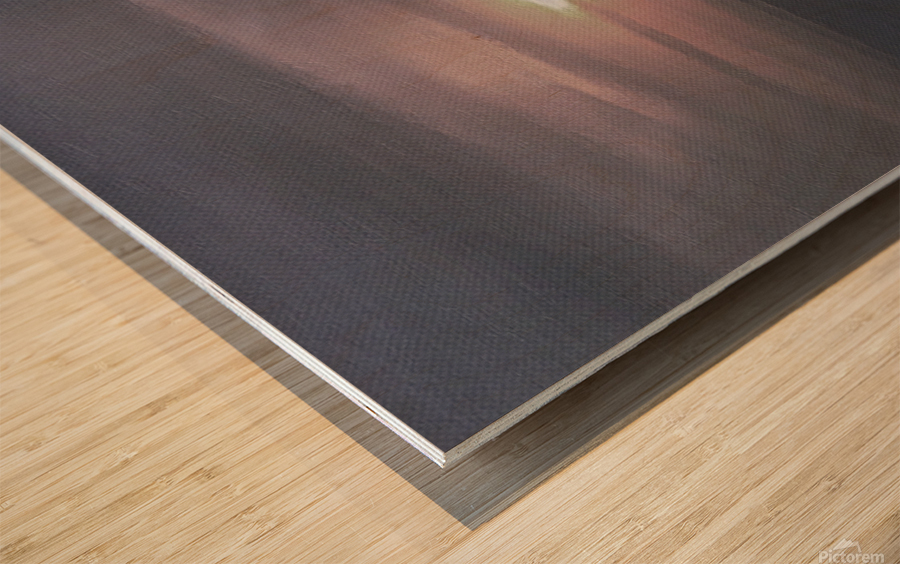 solo sailing Wood print