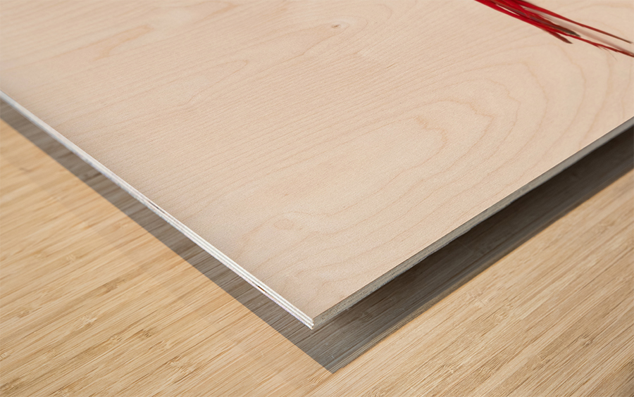 A scarlet macaw parrot on white background Wood print