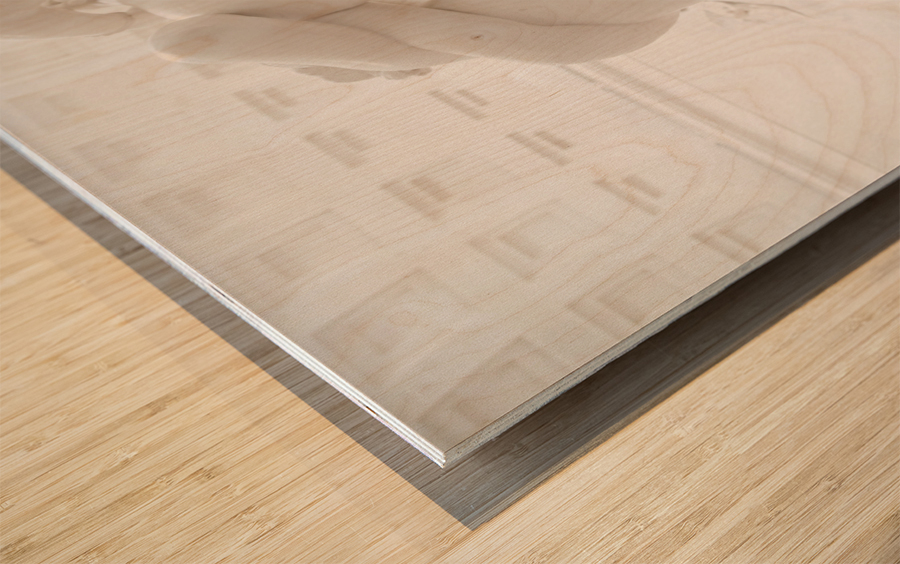 Possagno Italy - The Three Graces by Antonio Canova symbol of  Wood print