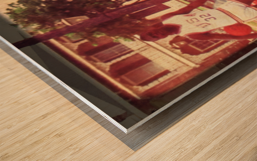 1985 South Alabama Jaguars Viewfinder Slide Art Wood print