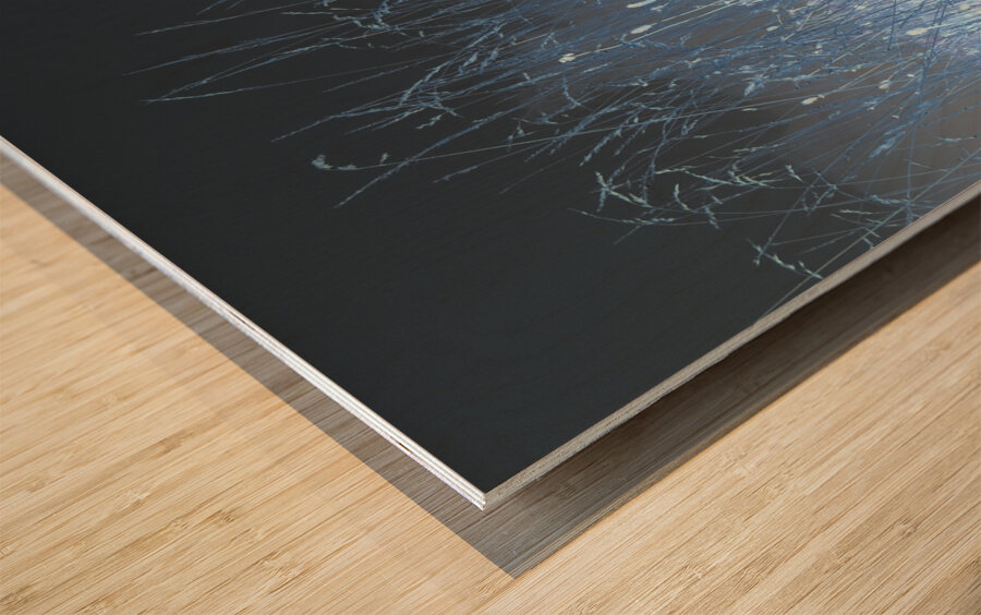  Autumnal Inverted Long Grass in the Mist Wood print