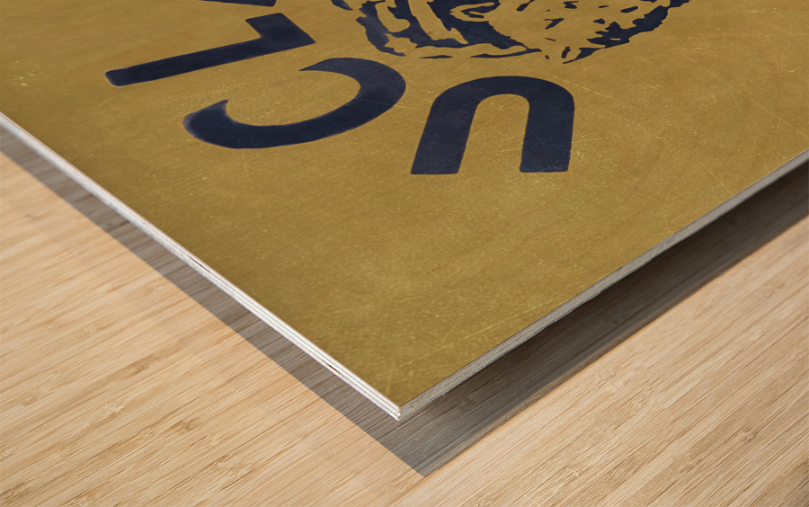 1976 UCLA Bruins Rose Bowl Art Wood print