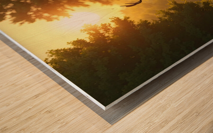 Photorealistic Deer Environment Wood print