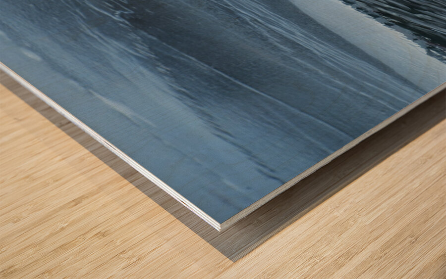 ChatPond2 Wood print