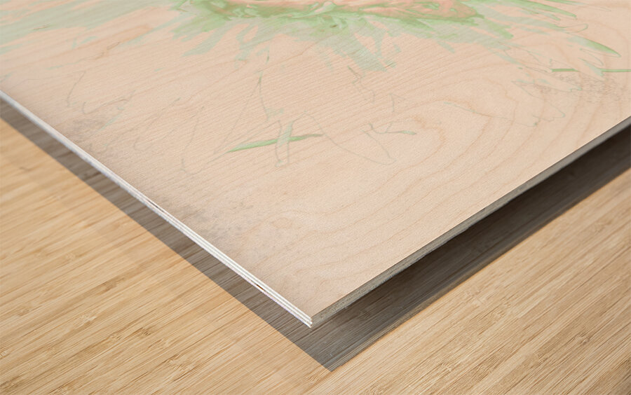 Delicate Heatwave Chrysanthemum Wood print