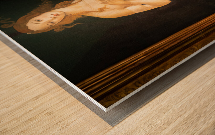 The painting of Venus by Sandro Botticelli oil on canvas 1490 Wood print