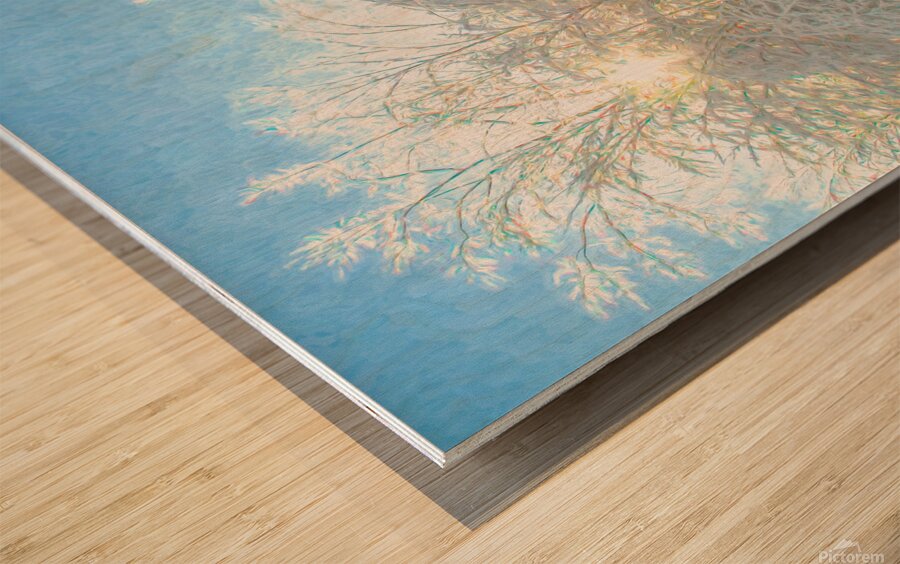 After the Ice Storm Wood print