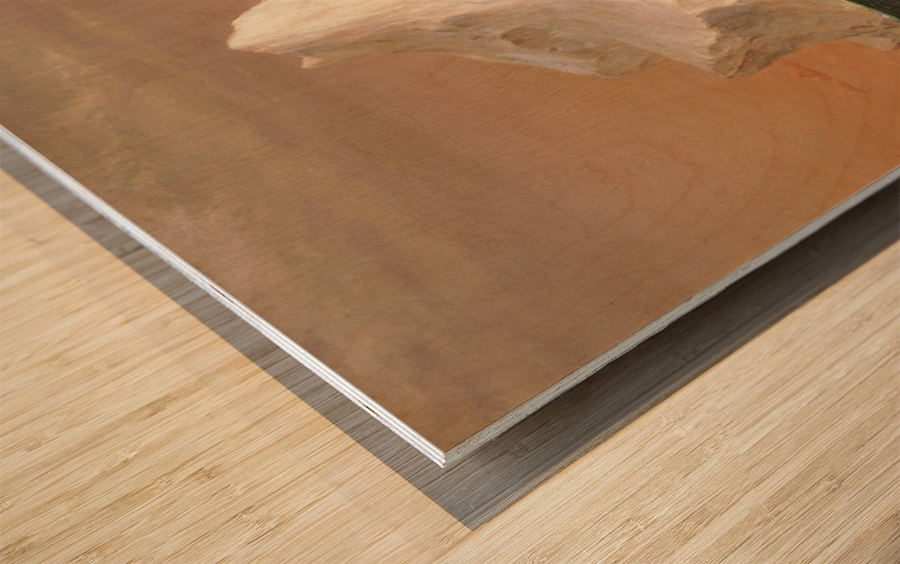 A boat sailling to an iceberg Wood print