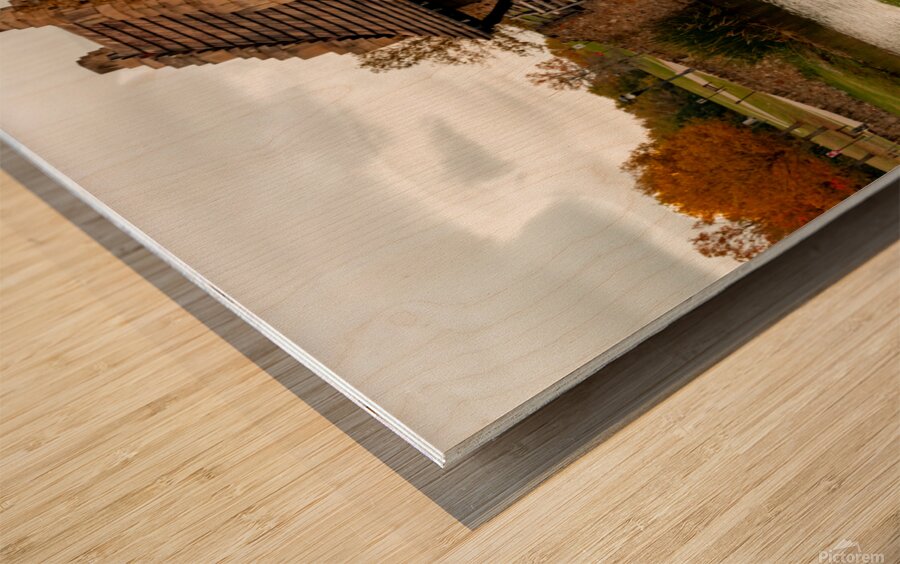 Shakespeare Park Montgomery Alabama  Wood print