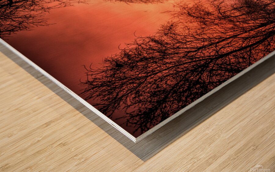  Mysterious Trees Wood print