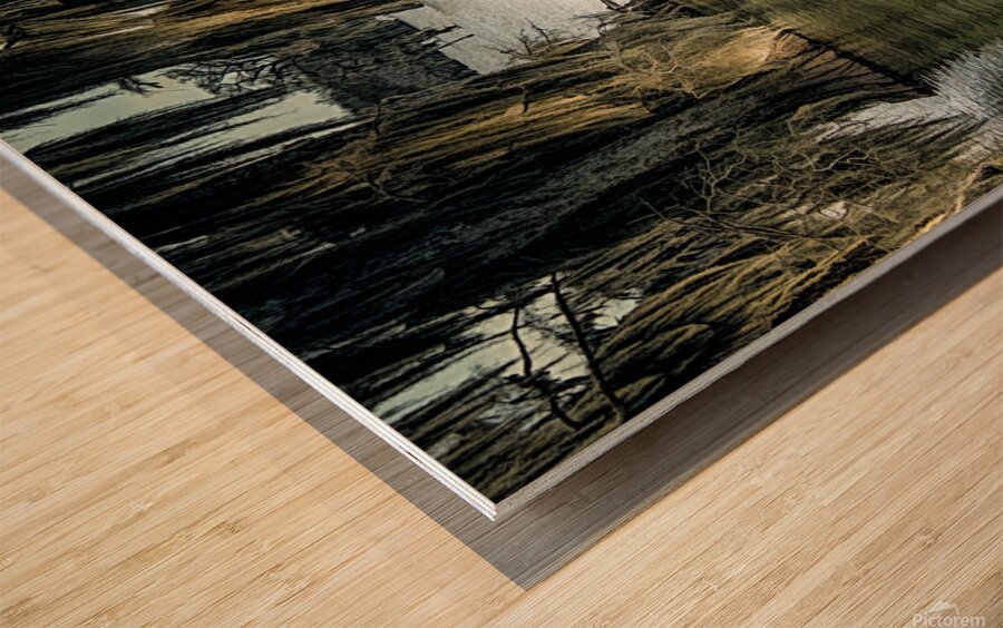 Lake Martin Winter Sun Wood print