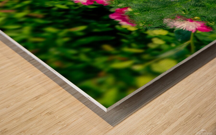 Peonies are Always in Style Wood print