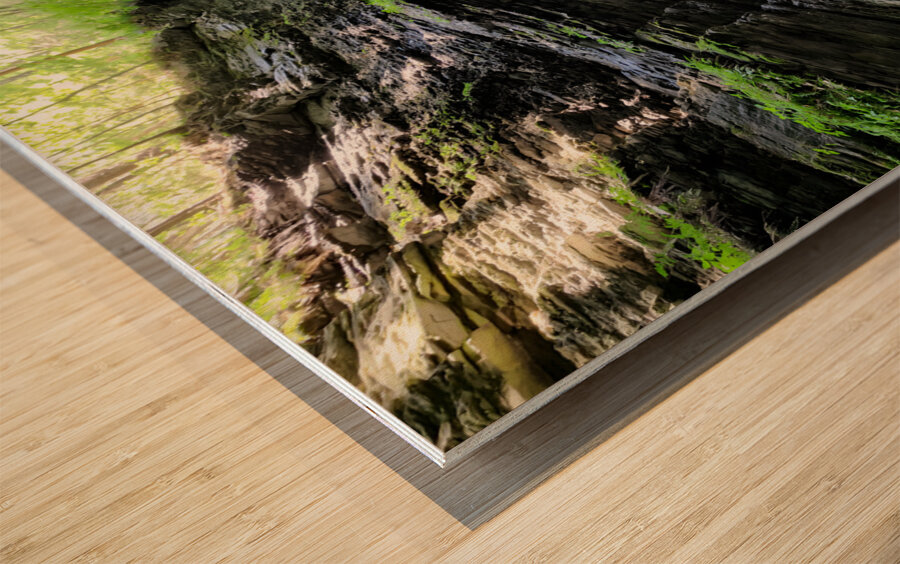 Watkins Glen State Park 2 Wood print