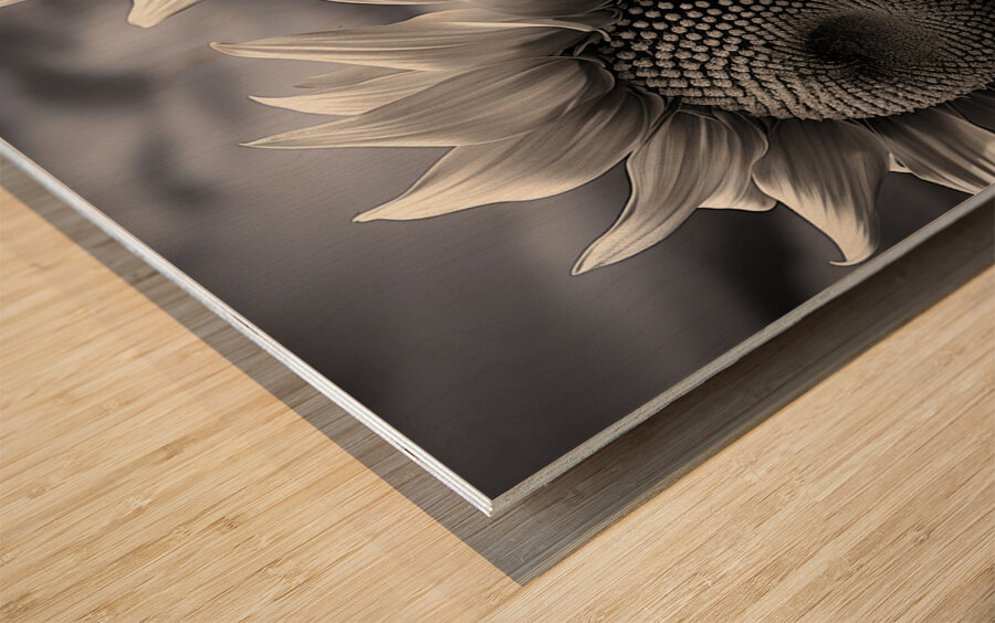 Sunlit Shadows – Dual Sunflower Study Print Wood print