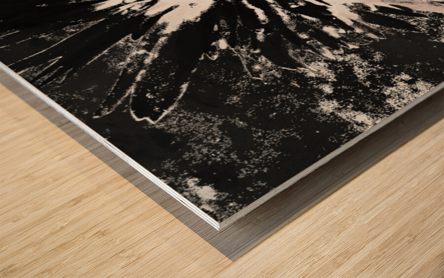 Abstract Monochrome Daisy Flower on an Abstract Monochrome Background Wood print