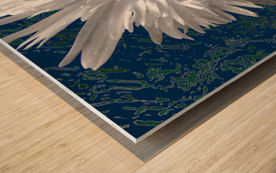 White Daisy Flower with Light Turquoise Centre on an Abstract Background Wood print