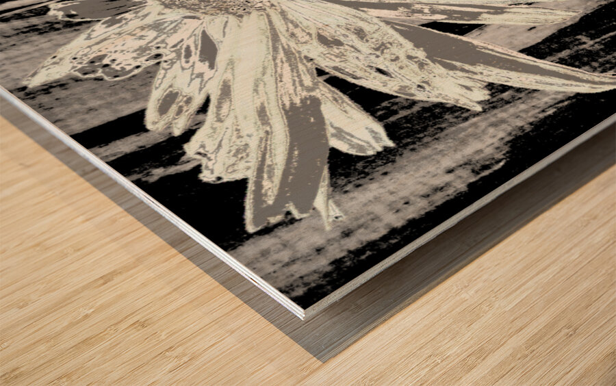  Paler Mint Distressed Daisy Flower on a Dark Abstract Background Wood print