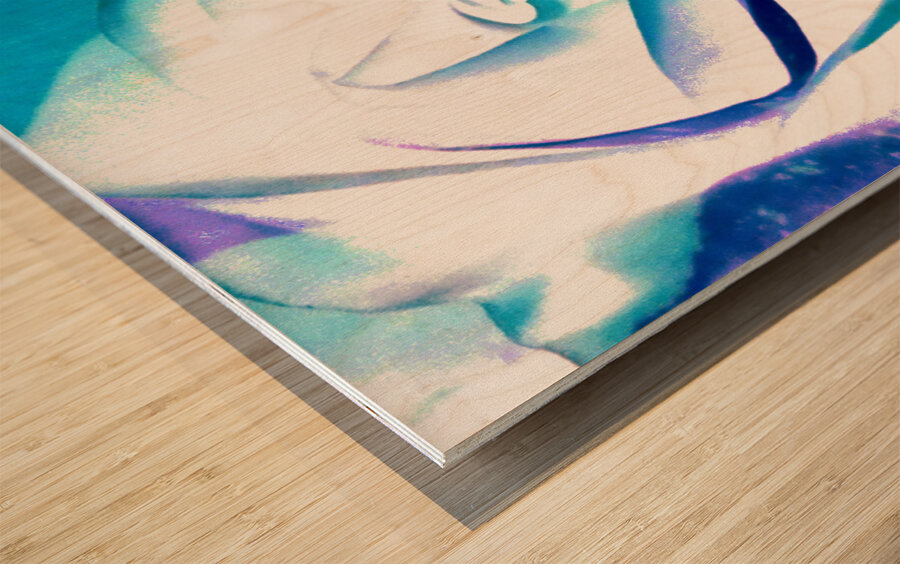 Abstract Multicoloured Rose on a Dark Abstract Background  Wood print