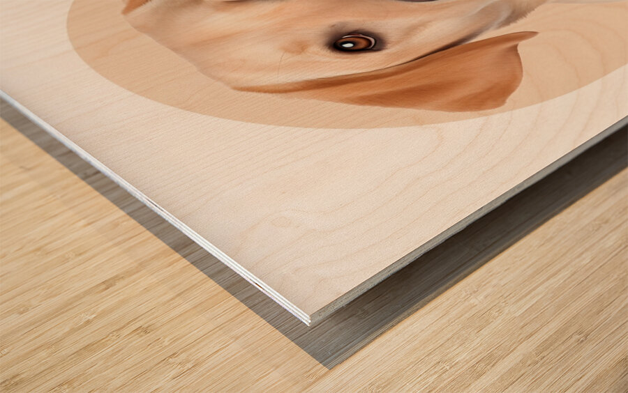 Labrador Retriever Informative Poster Wood print