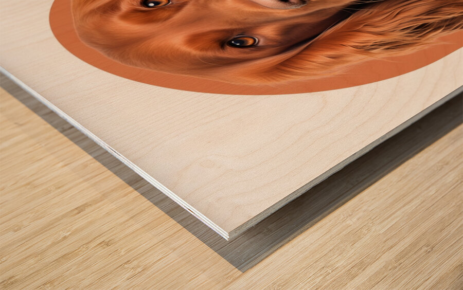 Irish Setter Informative Poster Wood print