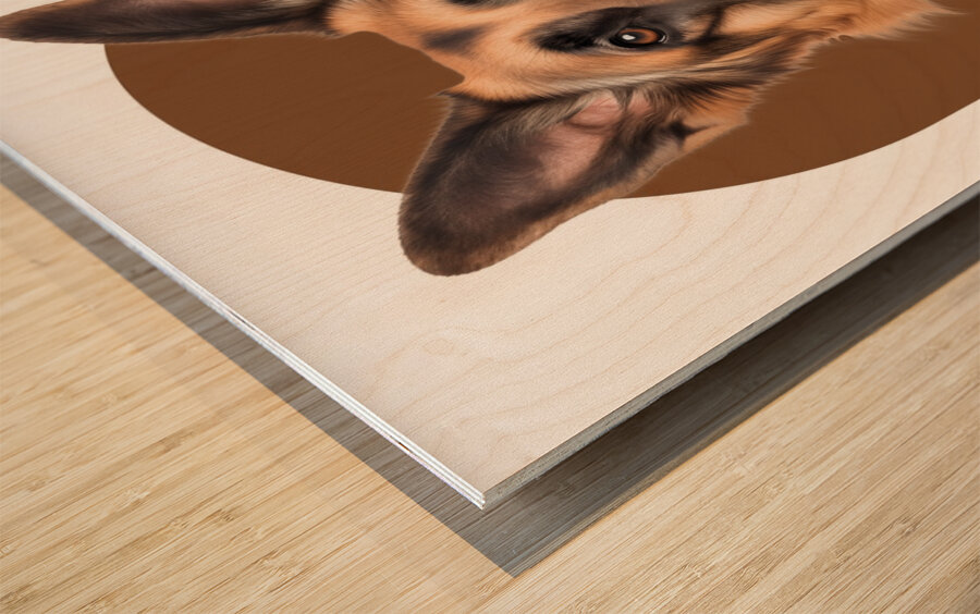 German Shepherd Informative Poster Wood print