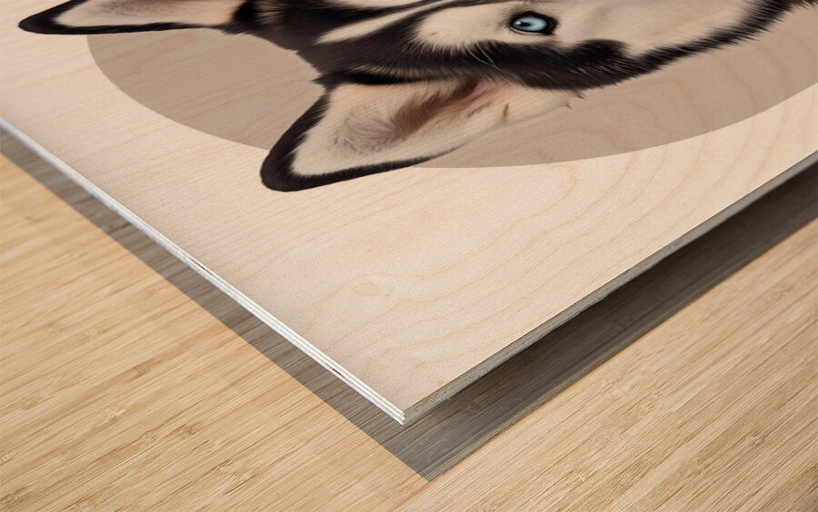 Siberian Husky Informative Poster Wood print