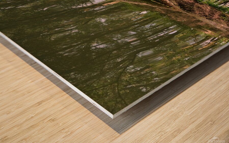 Eye Of Gaia Wood print