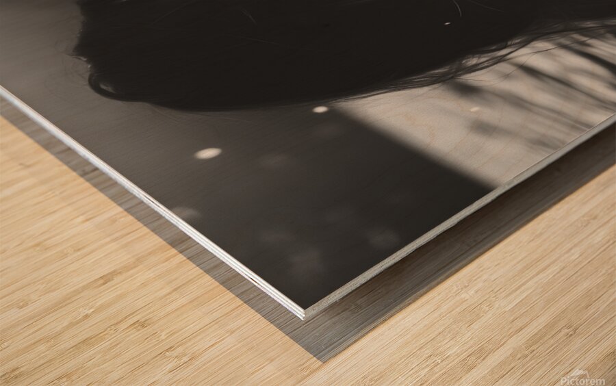 Seraph Art 28 Wood print