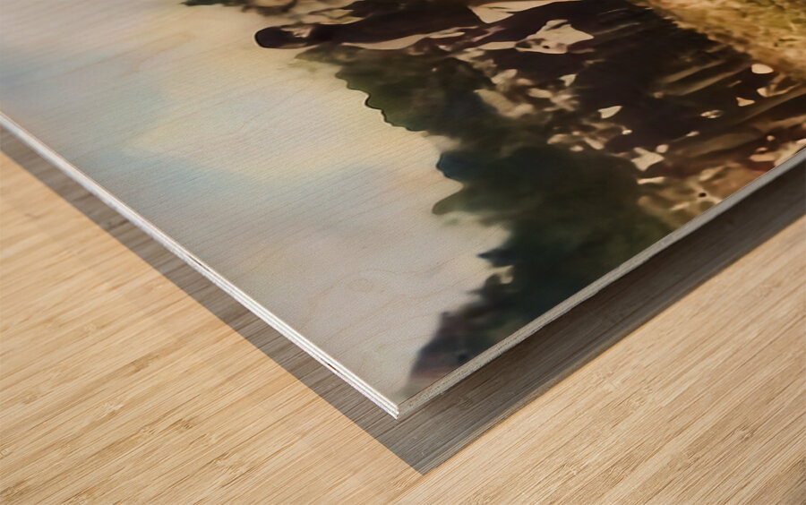 1902  Missouri Football Touchdown Wood print