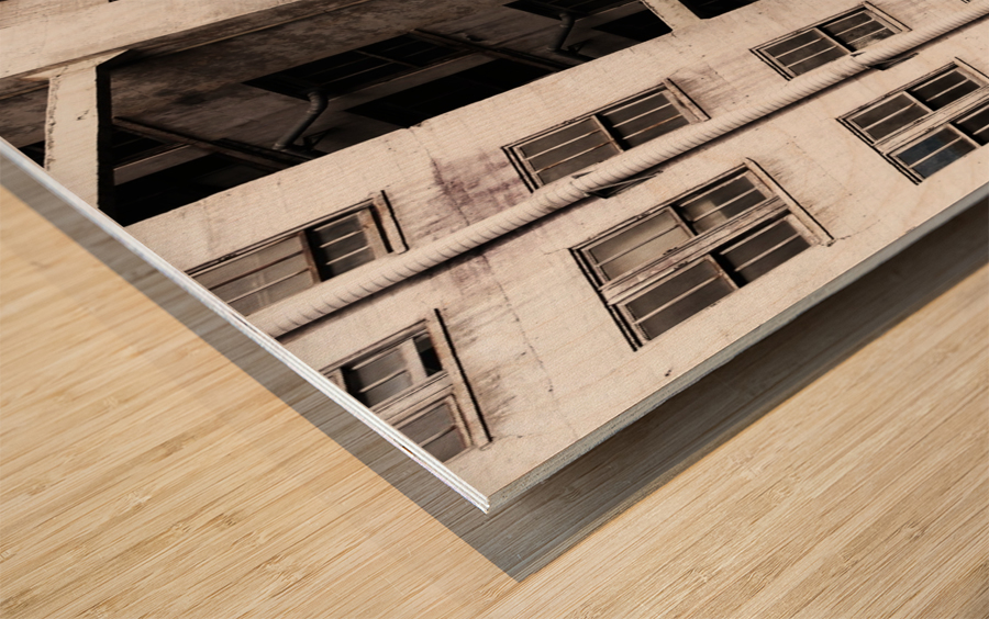 DIRT CANT HURT_I Wood print