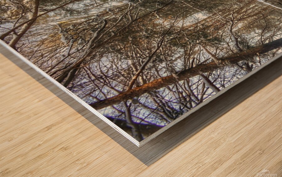 G12 Roaring Brook Wood print