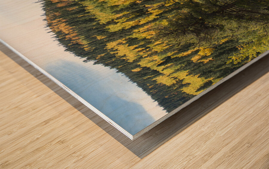 Fall Colors 3 Wood print