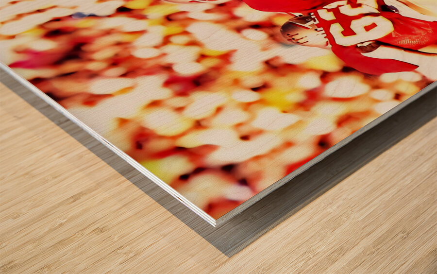 Danny McManus Florida State Art Wood print