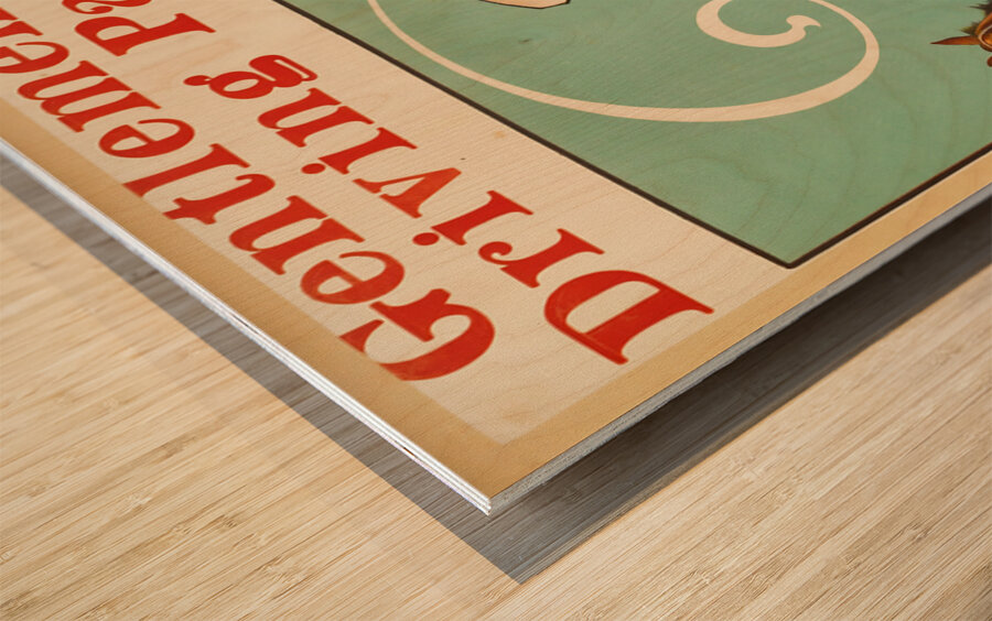 1904 baltimore gentlemens driving park Wood print