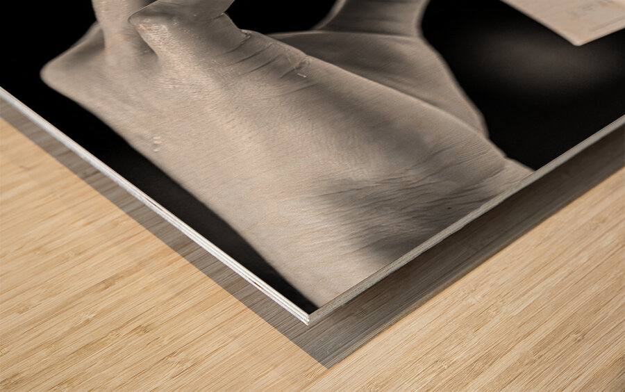 Taipei Soosh Wood print