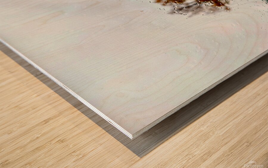 Roadside Fall Wood print