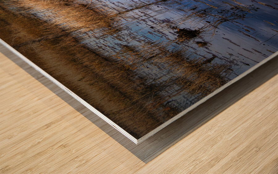 Low Country Marsh Sky Reflections Wood print