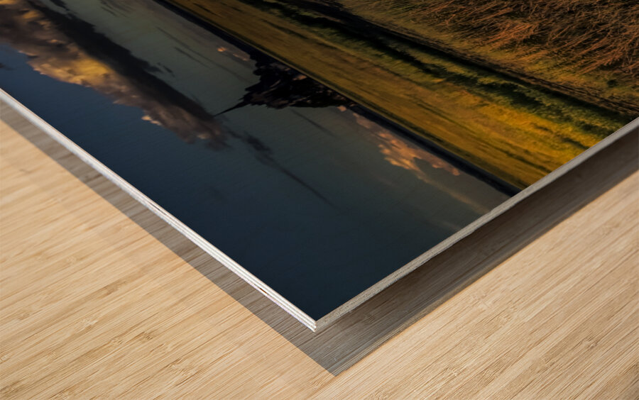 Mont Saint Michel Sheep Wood print