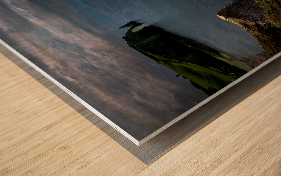 Etretat Cliffside Wildflowers Wood print