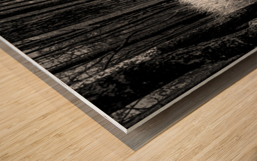 Infrared Forest Wood print