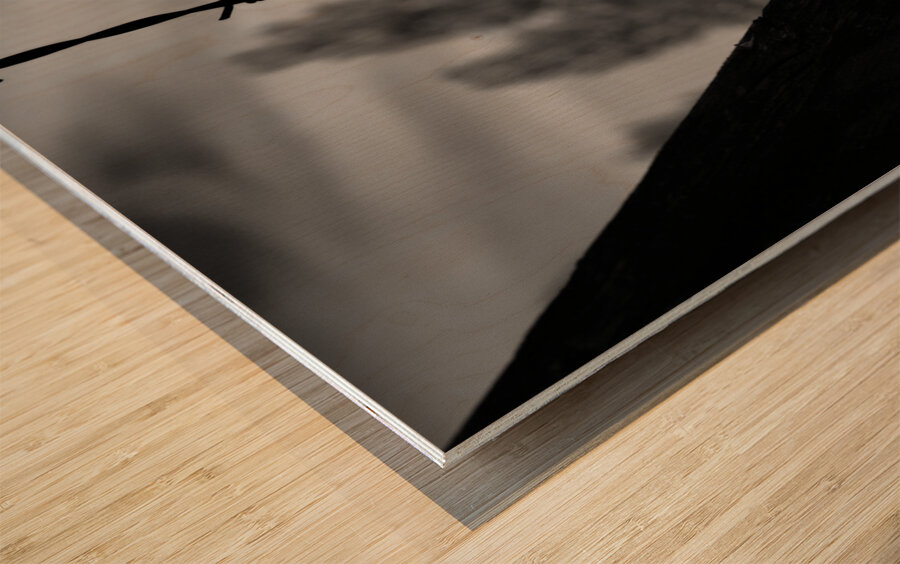 They Cannot Hurt Him Anymore Impression sur bois