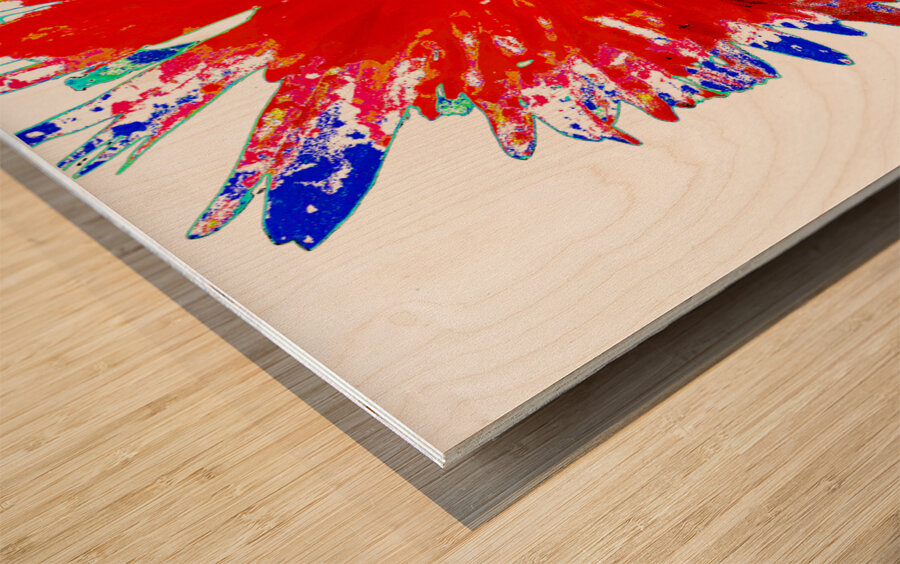 Lighter   Distressed Dasiy on  Abstract Background Wood print