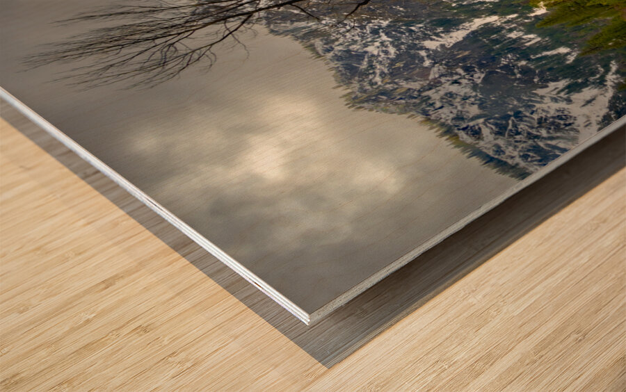 Yosemite Winter Tree Reflections Wood print