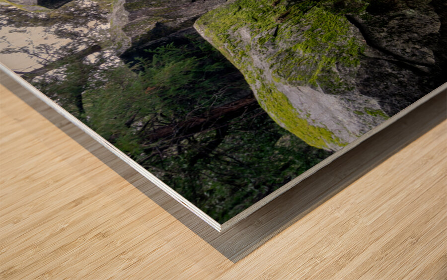 Yosemite Hole in One Wood print